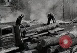 Standbild Protokollierung und Sägewerk Verarbeitung Crossville Tennessee USA, 1940, aus Sekunde 45 historischem Filmmaterial Videoclip 65675025572