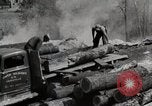 Standbild Protokollierung und Sägewerk Verarbeitung Crossville Tennessee USA, 1940, aus Sekunde 47 historischem Filmmaterial Videoclip 65675025572