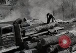 Standbild Protokollierung und Sägewerk Verarbeitung Crossville Tennessee USA, 1940, aus Sekunde 48 historischem Filmmaterial Videoclip 65675025572