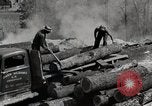 Standbild Protokollierung und Sägewerk Verarbeitung Crossville Tennessee USA, 1940, aus Sekunde 49 historischem Filmmaterial Videoclip 65675025572