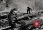 Standbild Protokollierung und Sägewerk Verarbeitung Crossville Tennessee USA, 1940, aus Sekunde 50 historischem Filmmaterial Videoclip 65675025572