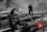 Standbild Protokollierung und Sägewerk Verarbeitung Crossville Tennessee USA, 1940, aus Sekunde 51 historischem Filmmaterial Videoclip 65675025572