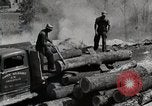 Standbild Protokollierung und Sägewerk Verarbeitung Crossville Tennessee USA, 1940, aus Sekunde 52 historischem Filmmaterial Videoclip 65675025572