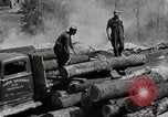 Standbild Protokollierung und Sägewerk Verarbeitung Crossville Tennessee USA, 1940, aus Sekunde 53 historischem Filmmaterial Videoclip 65675025572