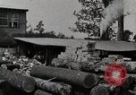 Standbild Protokollierung und Sägewerk Verarbeitung Crossville Tennessee USA, 1940, aus Sekunde 54 historischem Filmmaterial Videoclip 65675025572
