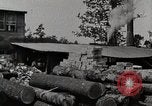 Standbild Protokollierung und Sägewerk Verarbeitung Crossville Tennessee USA, 1940, aus Sekunde 55 historischem Filmmaterial Videoclip 65675025572