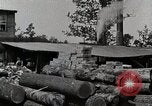Standbild Protokollierung und Sägewerk Verarbeitung Crossville Tennessee USA, 1940, aus Sekunde 57 historischem Filmmaterial Videoclip 65675025572