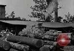 Standbild Protokollierung und Sägewerk Verarbeitung Crossville Tennessee USA, 1940, aus Sekunde 58 historischem Filmmaterial Videoclip 65675025572