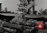 Standbild Protokollierung und Sägewerk Verarbeitung Crossville Tennessee USA, 1940, aus Sekunde 60 historischem Filmmaterial Videoclip 65675025572