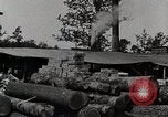 Standbild Protokollierung und Sägewerk Verarbeitung Crossville Tennessee USA, 1940, aus Sekunde 61 historischem Filmmaterial Videoclip 65675025572