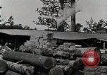 Standbild Protokollierung und Sägewerk Verarbeitung Crossville Tennessee USA, 1940, aus Sekunde 62 historischem Filmmaterial Videoclip 65675025572