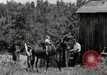 Image la vie dans les zones montagneuses du sud Kentucky United States USA, 1940, de la seconde 8 séquences d'archives historiques vidéo 65675025576