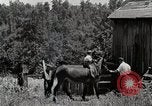 Image la vie dans les zones montagneuses du sud Kentucky United States USA, 1940, de la seconde 9 séquences d'archives historiques vidéo 65675025576