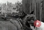 Image la vie dans les zones montagneuses du sud Kentucky United States USA, 1940, de la seconde 22 séquences d'archives historiques vidéo 65675025576