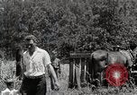 Image la vie dans les zones montagneuses du sud Kentucky United States USA, 1940, de la seconde 28 séquences d'archives historiques vidéo 65675025576