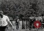 Image la vie dans les zones montagneuses du sud Kentucky United States USA, 1940, de la seconde 29 séquences d'archives historiques vidéo 65675025576