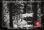 Image of Timber growing and logging California United States USA, 1931, second 1 stock footage video 65675025577