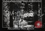Image of Timber growing and logging California United States USA, 1931, second 3 stock footage video 65675025577