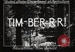 Image of Timber growing and logging California United States USA, 1931, second 4 stock footage video 65675025577