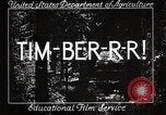 Image of Timber growing and logging California United States USA, 1931, second 6 stock footage video 65675025577