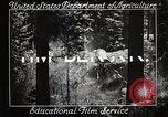 Image of Timber growing and logging California United States USA, 1931, second 8 stock footage video 65675025577