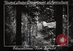 Image of Timber growing and logging California United States USA, 1931, second 9 stock footage video 65675025577