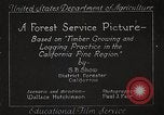 Image of Timber growing and logging California United States USA, 1931, second 12 stock footage video 65675025577