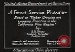 Image of Timber growing and logging California United States USA, 1931, second 14 stock footage video 65675025577