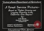 Image of Timber growing and logging California United States USA, 1931, second 15 stock footage video 65675025577