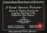 Image of Timber growing and logging California United States USA, 1931, second 16 stock footage video 65675025577