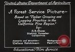 Image of Timber growing and logging California United States USA, 1931, second 17 stock footage video 65675025577