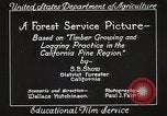 Image of Timber growing and logging California United States USA, 1931, second 18 stock footage video 65675025577