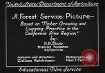 Image of Timber growing and logging California United States USA, 1931, second 19 stock footage video 65675025577