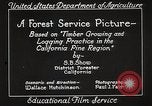 Image of Timber growing and logging California United States USA, 1931, second 20 stock footage video 65675025577