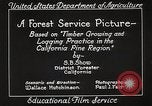 Image of Timber growing and logging California United States USA, 1931, second 21 stock footage video 65675025577