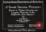 Image of Timber growing and logging California United States USA, 1931, second 22 stock footage video 65675025577