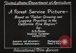 Image of Timber growing and logging California United States USA, 1931, second 23 stock footage video 65675025577