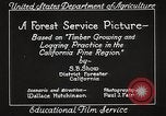 Image of Timber growing and logging California United States USA, 1931, second 25 stock footage video 65675025577