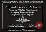 Image of Timber growing and logging California United States USA, 1931, second 28 stock footage video 65675025577