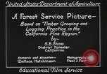 Image of Timber growing and logging California United States USA, 1931, second 30 stock footage video 65675025577