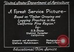 Image of Timber growing and logging California United States USA, 1931, second 32 stock footage video 65675025577