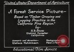 Image of Timber growing and logging California United States USA, 1931, second 33 stock footage video 65675025577