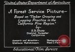 Image of Timber growing and logging California United States USA, 1931, second 34 stock footage video 65675025577