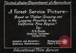 Image of Timber growing and logging California United States USA, 1931, second 35 stock footage video 65675025577
