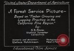 Image of Timber growing and logging California United States USA, 1931, second 36 stock footage video 65675025577
