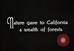 Image of Timber growing and logging California United States USA, 1931, second 39 stock footage video 65675025577