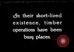 Image of Timber growing and logging California United States USA, 1931, second 1 stock footage video 65675025578