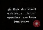 Image of Timber growing and logging California United States USA, 1931, second 4 stock footage video 65675025578