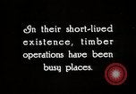 Image of Timber growing and logging California United States USA, 1931, second 6 stock footage video 65675025578