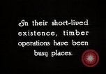 Image of Timber growing and logging California United States USA, 1931, second 7 stock footage video 65675025578